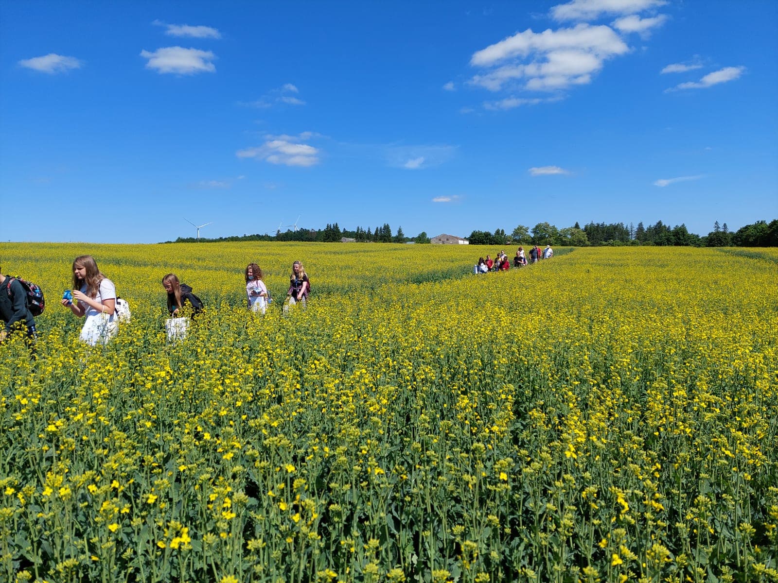 Zajęcia terenowe pt.: „Poznawanie gleb Pomorza przy pomocy zmysłów. Warsztaty z wiedzy o glebie dla początkujących”
