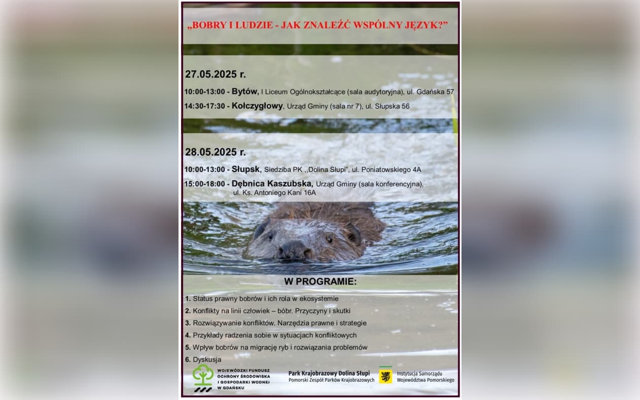 Warsztaty "Bobry i ludzie - jak znaleźć wspólny język?"