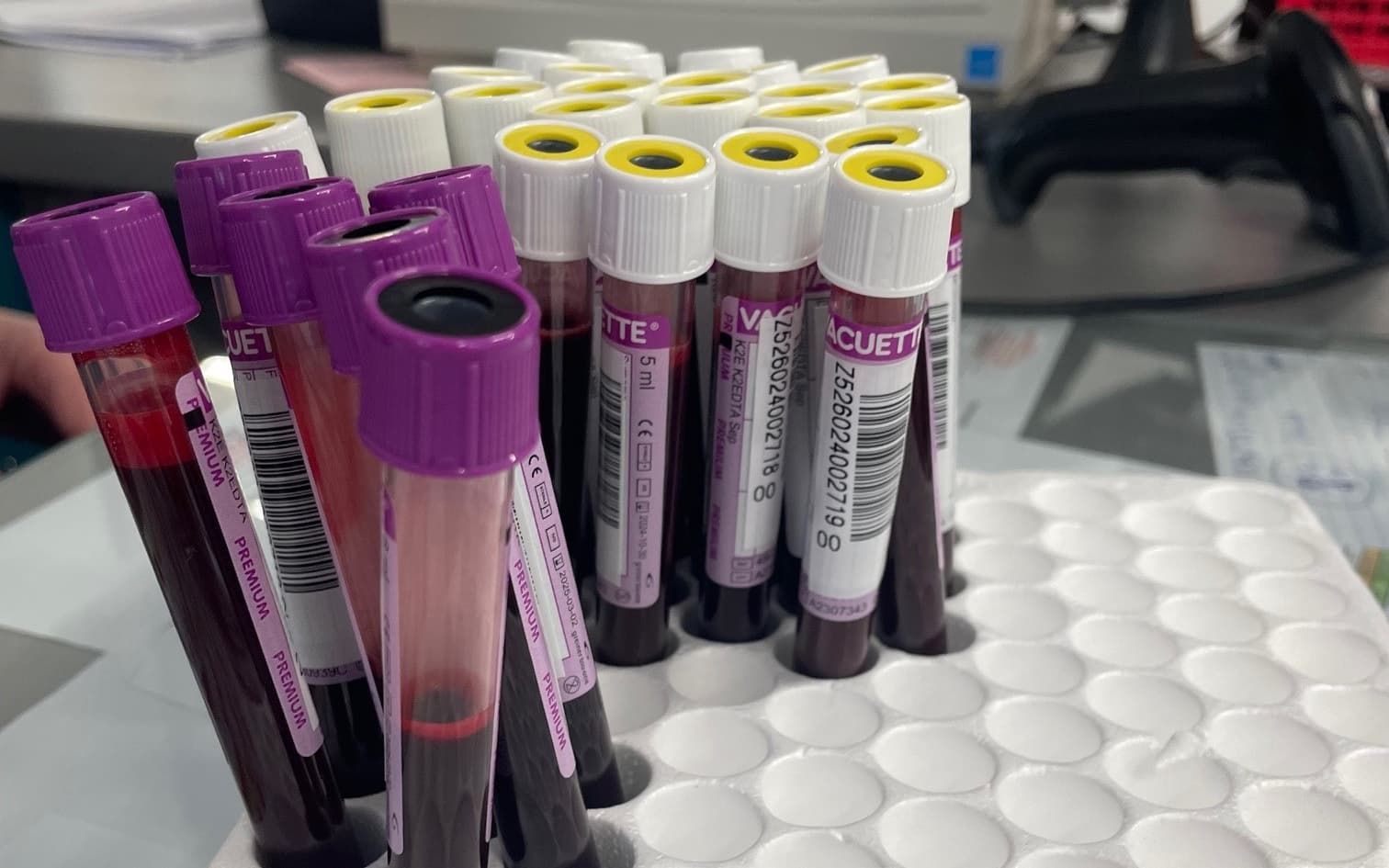 Studencka praktyka w Regionalnym Centrum Krwiodawstwa i Krwiolecznictwa im. Jana Pawła II w Słupsku