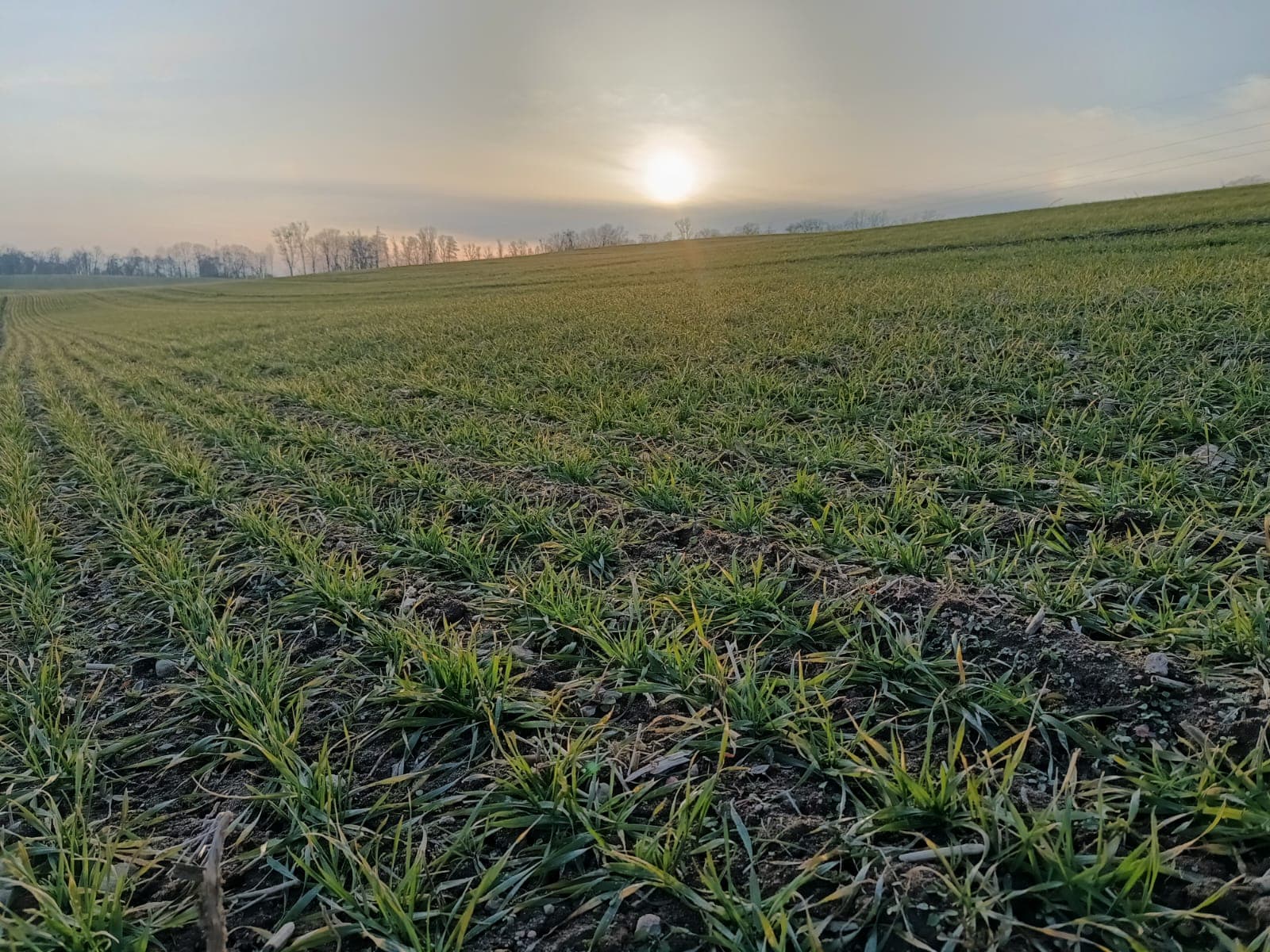 Pierwsze badania gleby w sezonie wegetacyjnym w Uniwersyteckiej Stacji Badawczo-Dydaktycznej w Grzmiącej