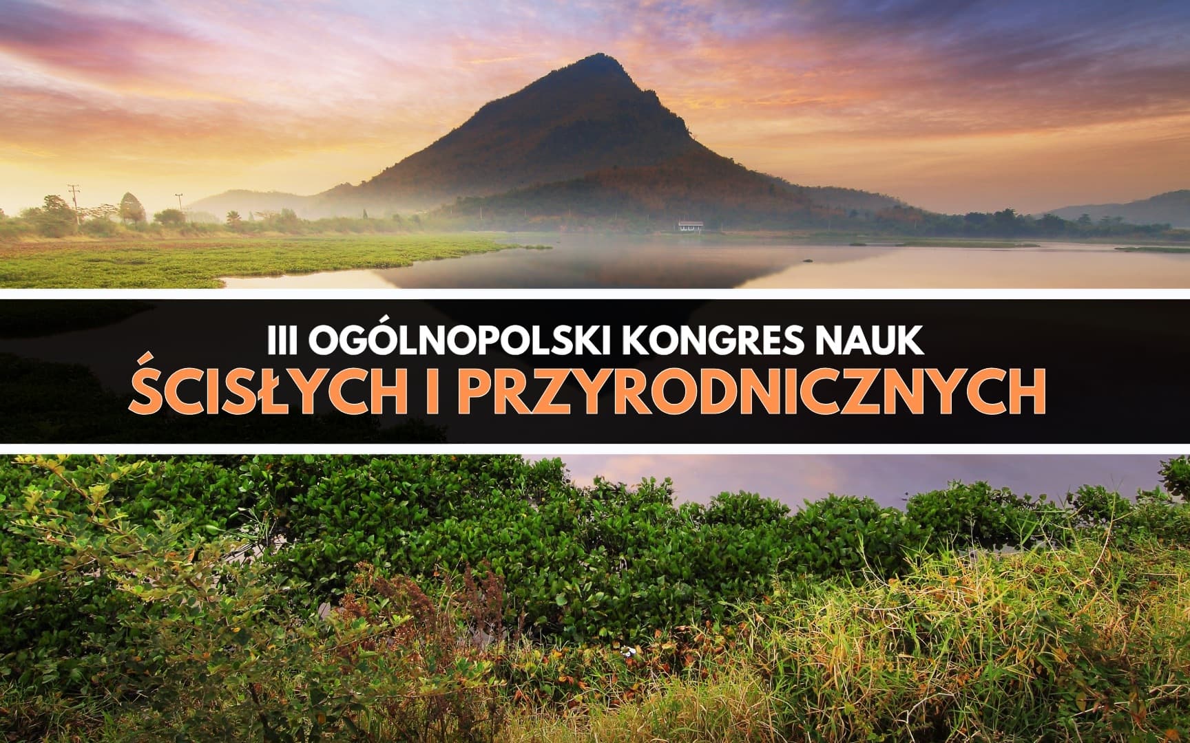 Udział mgr Natalii Brzeskiej w ogólnopolskim kongresie naukowym