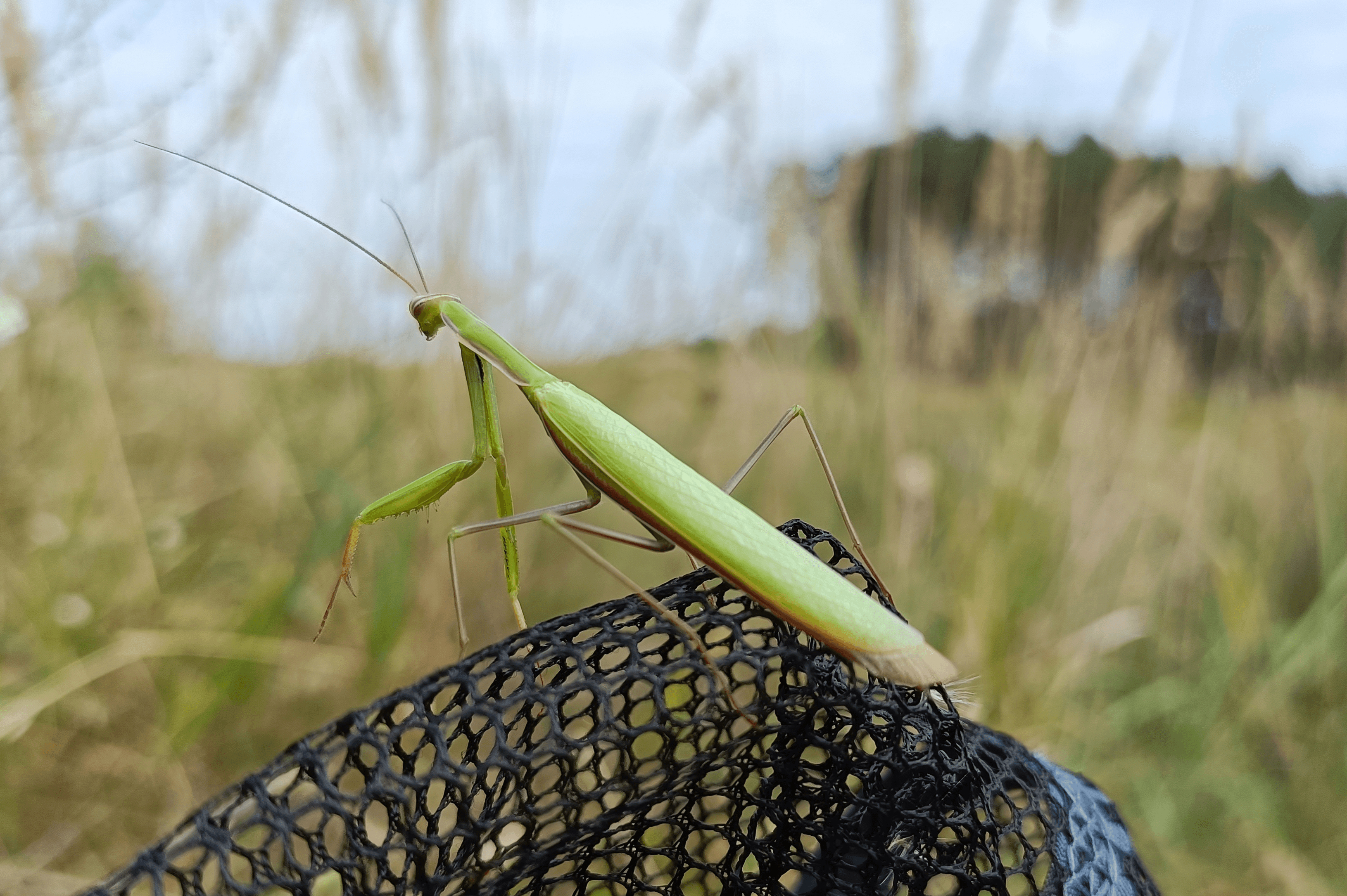 Rzadkie gatunki podczas badań terenowych naszych naukowców
